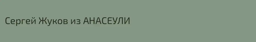 Сергей Жуков из АНАСЕУЛИ